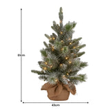 NNEDSZ Christabelle 61cm Pre-Lit Snowy Stamford Spruce Battery-Operated Mini Christmas Tree Multi-Functional LED Timer