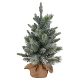NNEDSZ Christabelle 61cm Pre-Lit Snowy Stamford Spruce Battery-Operated Mini Christmas Tree Multi-Functional LED Timer