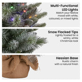 NNEDSZ Christabelle 61cm Pre-Lit Snowy Stamford Spruce Battery-Operated Mini Christmas Tree Multi-Functional LED Timer