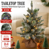 NNEDSZ Christabelle 61cm Pre-Lit Snowy Stamford Spruce Battery-Operated Mini Christmas Tree Multi-Functional LED Timer