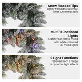 NNEDSZ Christabelle 76cm Christmas Wreath Snowy Stamford Spruce with LED Lights Front Door Decoration Ornament
