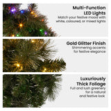NNEDSZ Christabelle 61cm Christmas Wreath with LED Lights Glittery Gold Pine re-Lit Front Door Decoration Ornament