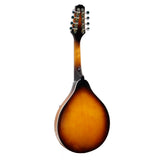 NNEDSZ Karrera Traditional Mandolin - Sunburst