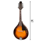 NNEDSZ Karrera Traditional Mandolin - Sunburst