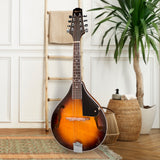 NNEDSZ Karrera Traditional Mandolin - Sunburst