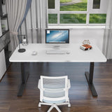 NNEDSZ 140cm Standing Desk Height Adjustable Sit Stand Motorised Grey Dual Motors Frame Black Top