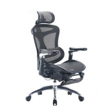 NNEDSZ SIHOO A3 Doro C300 Ergonomics Executive Office Chair with Footrest Black