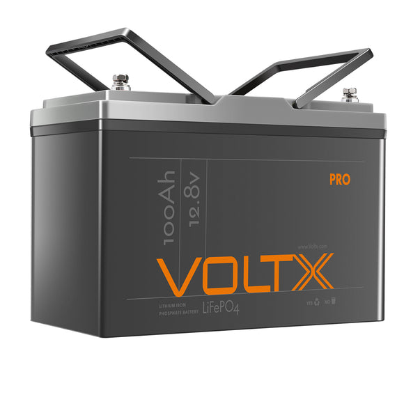 NNEDSZ 12V Lithium Battery 100Ah Pro Plus