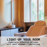 NNEDSZ 2 Set LED Wall Mirror Oval Anti-Fog Bathroom 45x100cm