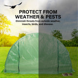 NNEDSZ Greenhouse Walk-In Shed 4x3x2M PE Dome Hoop Tunnel Polytunnel