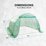 NNEDSZ Greenhouse Walk-In Shed 4x3x2M PE Dome Hoop Tunnel Polytunnel