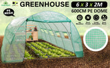 NNEDSZ Greenhouse Walk-In Shed 6x3x2M PE Dome Hoop Tunnel Polytunnel