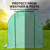 NNEDSZ Garden Greenhouse Shed PE Cover Only 300cm Dome Tunnel