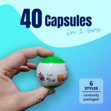 NNEDSZ 40X Cute Animal Pull Back Car Toy Capsules 50mm Collectible Gacha in Display Box