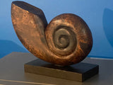 NNEDSZ Decorative hand carved wooden shell on stand