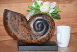 NNEDSZ Decorative hand carved wooden shell on stand
