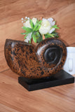 NNEDSZ Decorative hand carved wooden shell on stand
