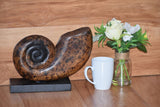 NNEDSZ Decorative hand carved wooden shell on stand