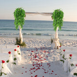 NNEDSZ 2 Pack 76cm Fake Plants Faux Artificial Eucalyptus Plants Home Garden Window Office Wedding Decoration