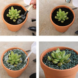 NNEDSZ 10x 6cm Flower Pot Pots Clay Ceramic Plant Drain Hole Succulent Cactus Nursery Planter