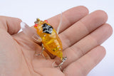 NNEDSZ 4x Popper Poppers 5cm Fishing Lure Lures Surface Tackle Fresh Saltwater
