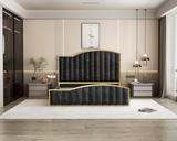 NNEDSZ King Size Elegant Luxury Bedframe with Gas Lift Storage Charcoal Velvet Fabric Golden Trim