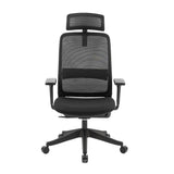 NNEDSZ Carlie High Back Molded Foam Seat Ergonomic Office Chair In Black