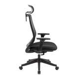 NNEDSZ Carlie High Back Molded Foam Seat Ergonomic Office Chair In Black