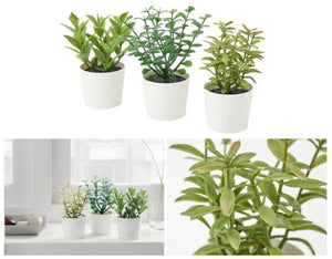 NNEDSZ 3 Pack of Artificial Herb Potted Plants in White Plastic 5cm Pot Interior Decoration
