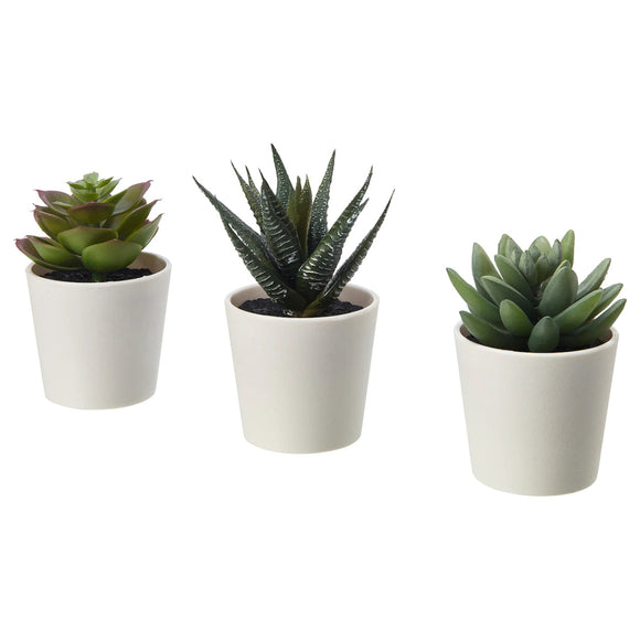 NNEDSZ 3 Pack of Artificial Succulent Potted Plants in White Plastic 6cm Pot Interior Decoration