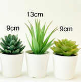 NNEDSZ 3 Pack of Artificial Succulent Potted Plants in White Plastic 6cm Pot Interior Decoration