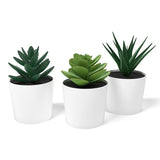 NNEDSZ 3 Pack of Artificial Succulent Potted Plants in White Plastic 6cm Pot Interior Decoration