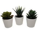 NNEDSZ 3 Pack of Artificial Succulent Potted Plants in White Plastic 6cm Pot Interior Decoration