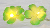 NNEDSZ 1 Set of 20 LED Green Frangipani Flower Battery String Lights Christmas Gift Home Wedding Party Decoration Outdoor Table Garland Wreath