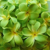 NNEDSZ 1 Set of 20 LED Green Frangipani Flower Battery String Lights Christmas Gift Home Wedding Party Decoration Outdoor Table Garland Wreath