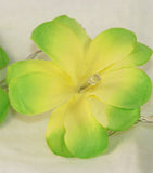 NNEDSZ 1 Set of 20 LED Green Frangipani Flower Battery String Lights Christmas Gift Home Wedding Party Decoration Outdoor Table Garland Wreath