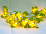 NNEDSZ 1 Set of 20 LED Green Frangipani Flower Battery String Lights Christmas Gift Home Wedding Party Decoration Outdoor Table Garland Wreath