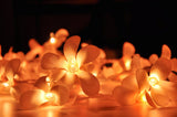 NNEDSZ 1 Set of 20 LED Orange Frangipani Flower Battery String Lights Christmas Gift Home Wedding Party Decoration Outdoor Table Garland Wreath