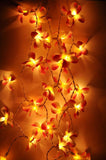 NNEDSZ 1 Set of 20 LED Orange Frangipani Flower Battery String Lights Christmas Gift Home Wedding Party Decoration Outdoor Table Garland Wreath