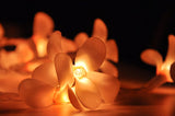 NNEDSZ 1 Set of 20 LED Orange Frangipani Flower Battery String Lights Christmas Gift Home Wedding Party Decoration Outdoor Table Garland Wreath