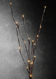 NNEDSZ LED Light Bunch Stem - Warm White BATTERY fairy lights - 50cm high 20 bulbs/petals