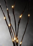 NNEDSZ LED Light Bunch Stem - Warm White BATTERY fairy lights - 50cm high 20 bulbs/petals