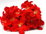 NNEDSZ 1 Set of 20 LED Deep Red Frangipani Flower Battery String Lights Christmas Gift Home Wedding Party Decoration Outdoor Table Garland Wreath