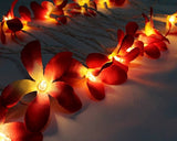 NNEDSZ 1 Set of 20 LED Deep Red Frangipani Flower Battery String Lights Christmas Gift Home Wedding Party Decoration Outdoor Table Garland Wreath