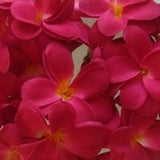 NNEDSZ 1 Set of 20 LED Deep Red Frangipani Flower Battery String Lights Christmas Gift Home Wedding Party Decoration Outdoor Table Garland Wreath