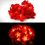 NNEDSZ 1 Set of 20 LED Deep Red Frangipani Flower Battery String Lights Christmas Gift Home Wedding Party Decoration Outdoor Table Garland Wreath