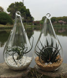 NNEDSZ 4 Pack of Hanging Clear Glass Tealight Candle Holder Tear Drop Pear Shape - 12cm High - Terrarium Plant Mini Garden Holder Decor