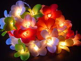 NNEDSZ 1 Set of 20 LED Tropical Bright Colous Frangipani Flower Battery String Lights Christmas Gift Home Wedding Party Decoration Outdoor Table Centrepiece