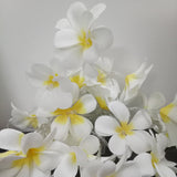 NNEDSZ 1 Set of 20 LED White Frangipani Flower Battery String Lights Christmas Gift Home Wedding Beach Party Decoration Outdoor Table Centrepiece