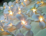 NNEDSZ 1 Set of 20 LED White Frangipani Flower Battery String Lights Christmas Gift Home Wedding Beach Party Decoration Outdoor Table Centrepiece